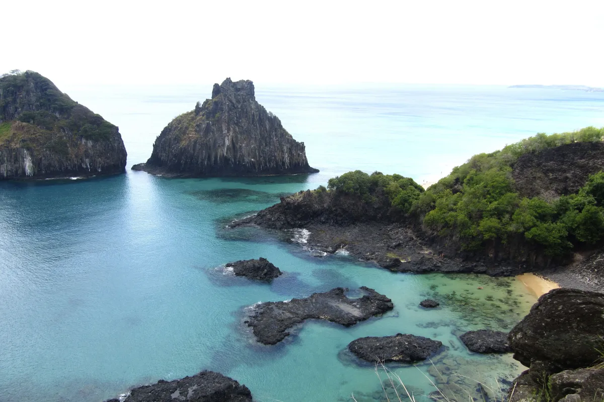 Estudo revela presença de espécies exclusivas nas ilhas oceânicas do Brasil