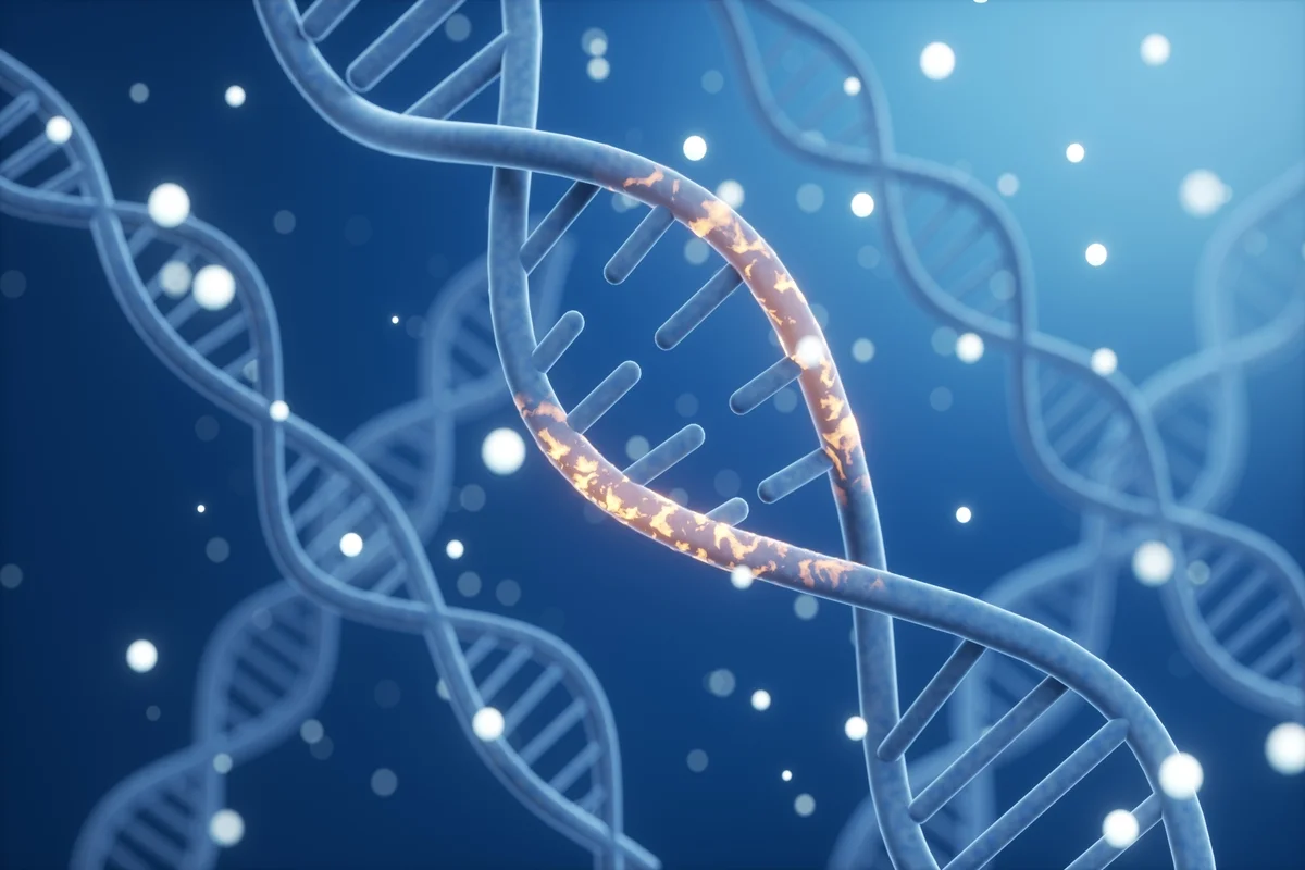 Gene único pode estar ligado a doenças mentais, sugere estudo